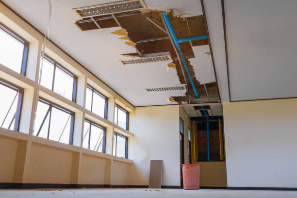 Best Water damage contractors near me  in Millville, DE