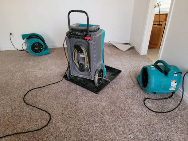 Best Carpet water damage restoration  in Millville, DE