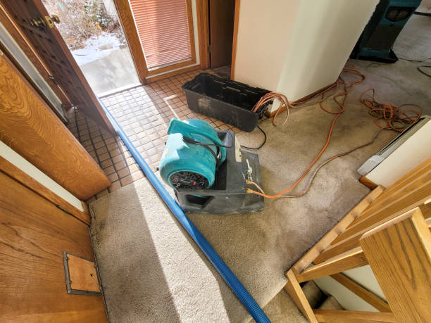 Best Water damage cleanup near me  in Millville, DE