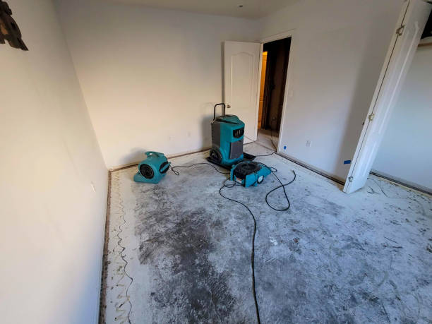 Best Commercial water damage restoration  in Millville, DE