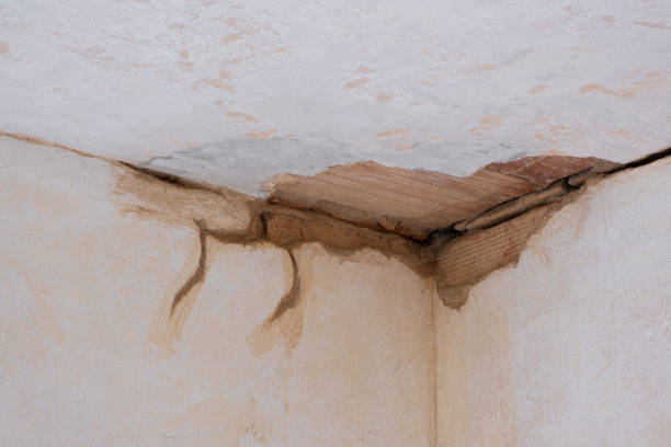 Best Ceiling water damage repair  in Millville, DE