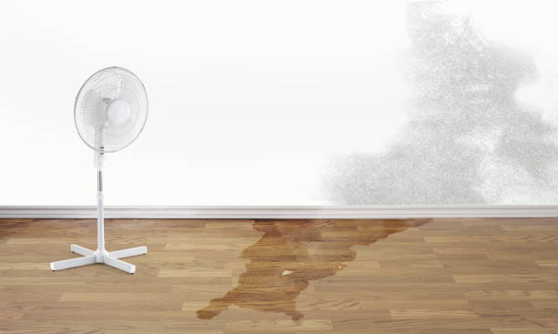 Best Fire Damage Restoration  in Millville, DE