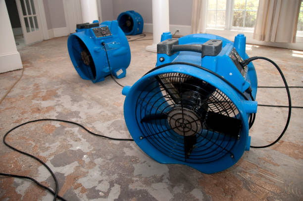 Best 24/7 water damage repair  in Millville, DE