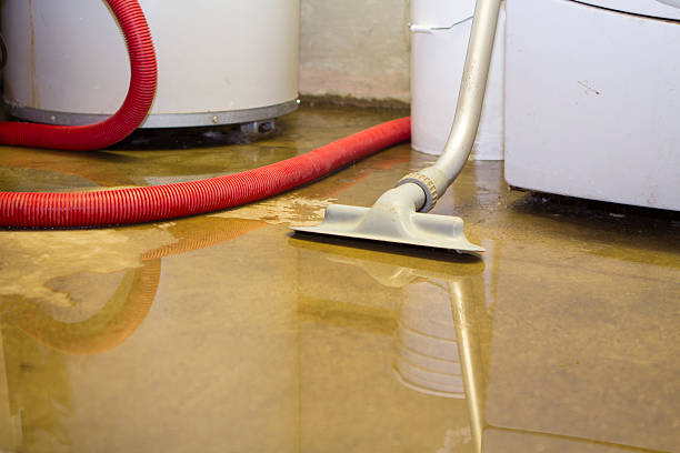 Best Water damage restoration near me  in Millville, DE