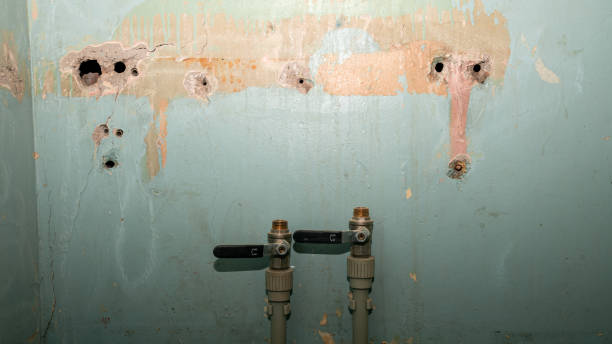 Best Water damage restoration process  in Millville, DE