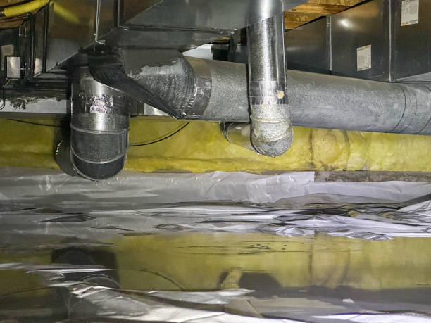 Best Mold removal after water damage  in Millville, DE