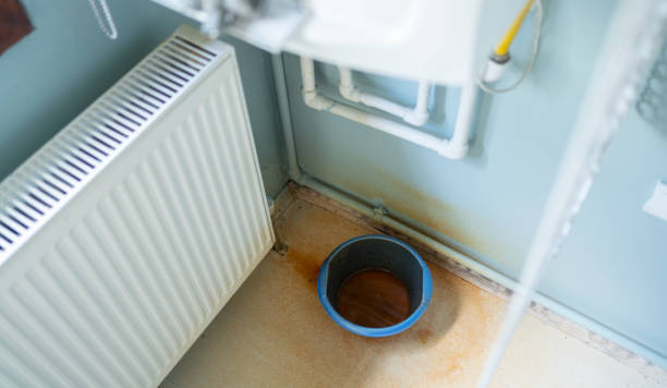 Best Basement water damage restoration  in Millville, DE